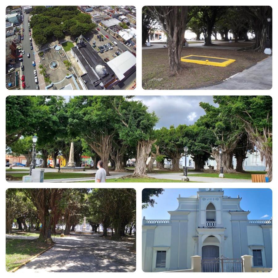 Lacasitadelmalecon Naguabo ภายนอก รูปภาพ