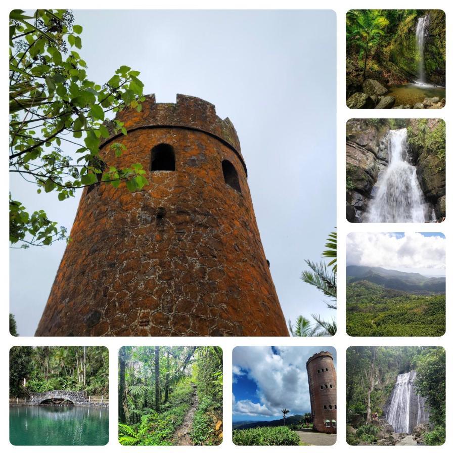 Lacasitadelmalecon Naguabo ภายนอก รูปภาพ